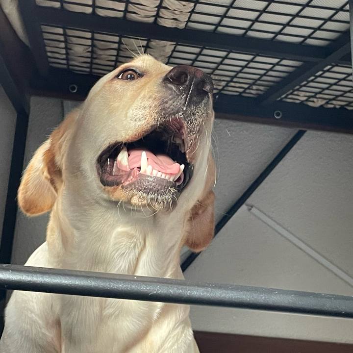 20536e29 85bc 4b73 a5ba 9a5685a4c422 1646006435089