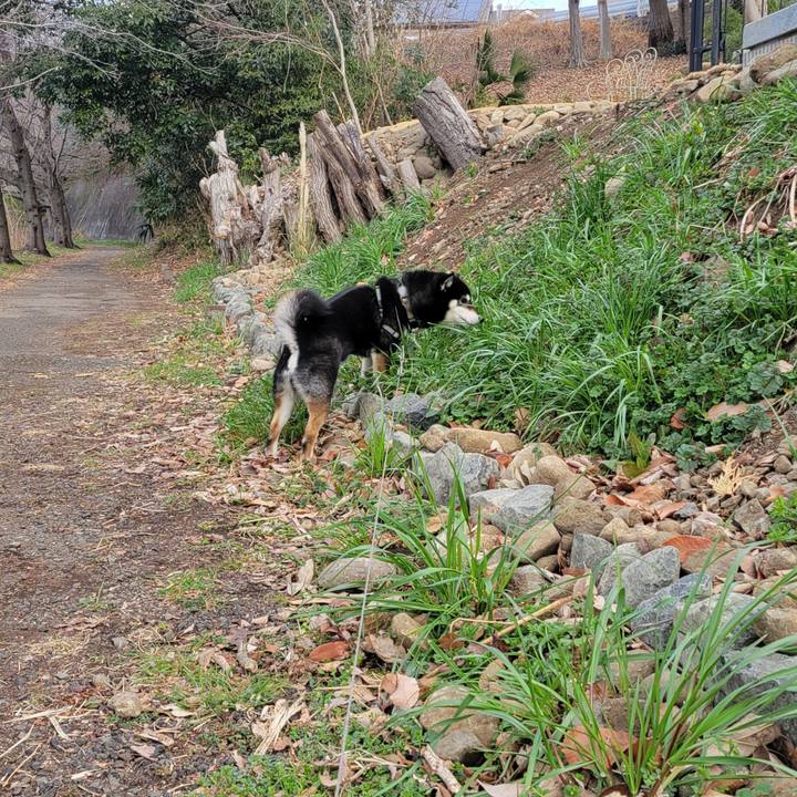 20537205 8070 4608 8068 bb411541ca50 1771371727451