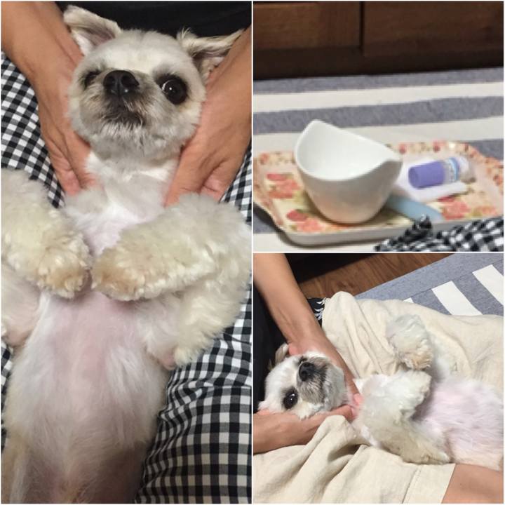 20537577 03dc 42ee 9d29 2af73352cd73 1587386968735