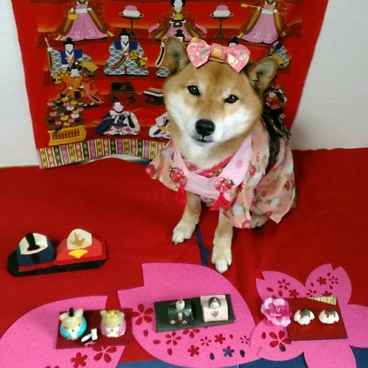 2053896a efd5 4fec 8caa ac296596f5f5 1551589215534