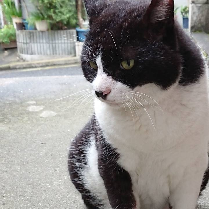 2053a27d 1670 4bc5 9f55 4231d7df7e59 1627902701954