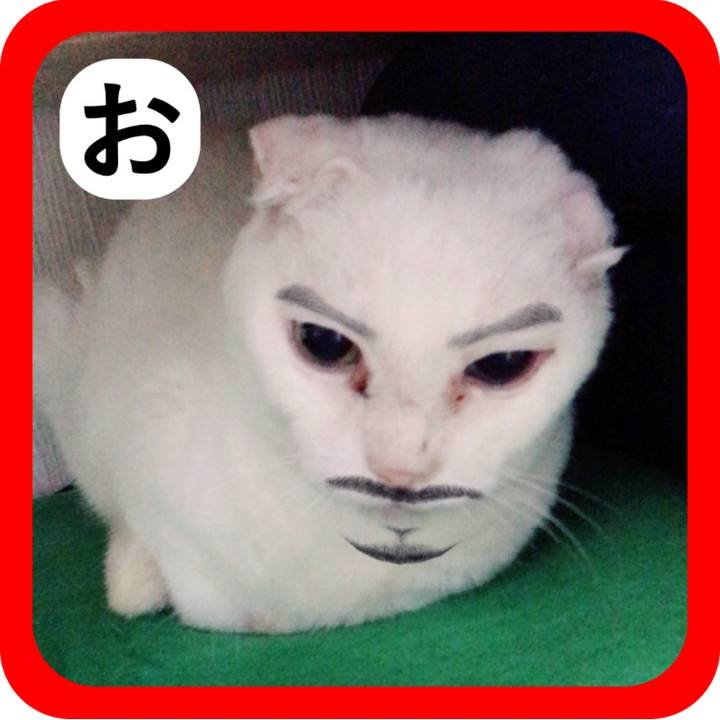 2053a90f 118f 43fb aa61 4c8d50a94a9d 1515305156946