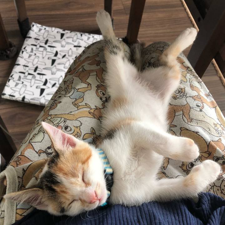 2053d718 52c7 4571 852d 3ce6cf87ee1f 1562375950898