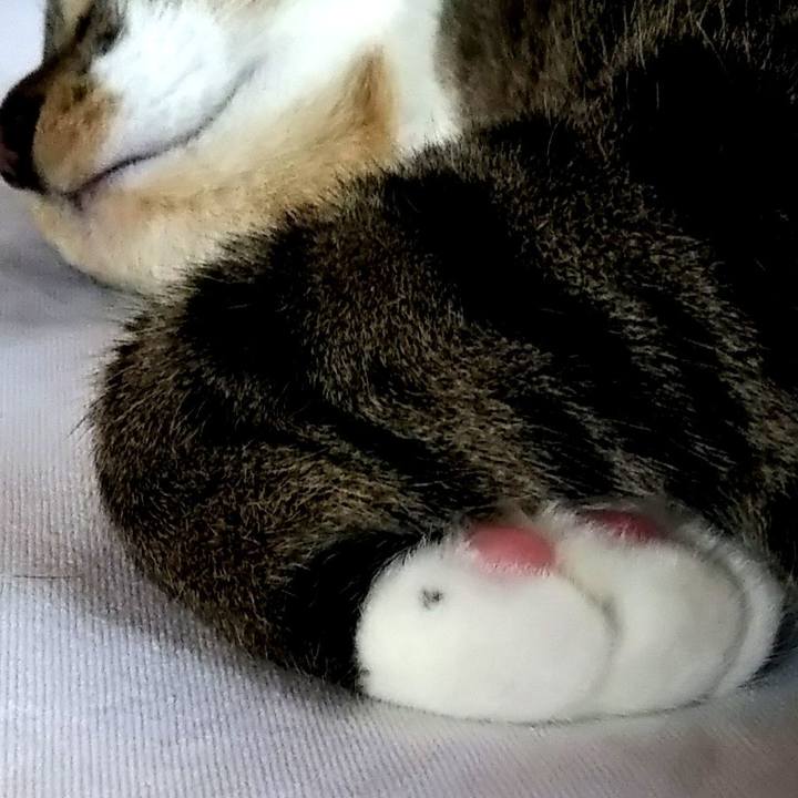 20540112 89e0 4fa2 beb2 5d102c90328a 1627204294803