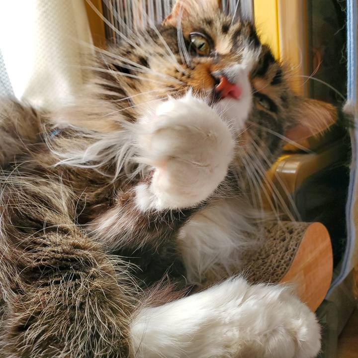 20540f01 4a9f 4db0 b39f 3fc4111ffb81 1735620910828