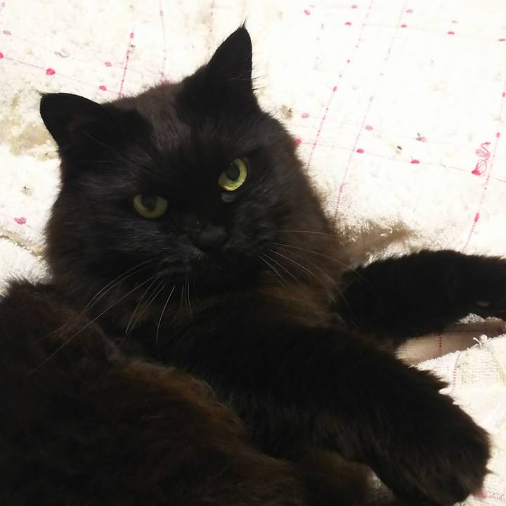 2054469f 4d59 48e0 9592 226faab61a40 1556032615463