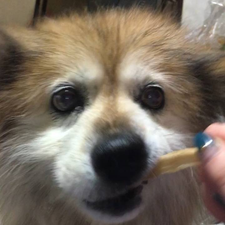 20544a58 ce1b 43e8 926c 7bcf000ca888 1615733103087