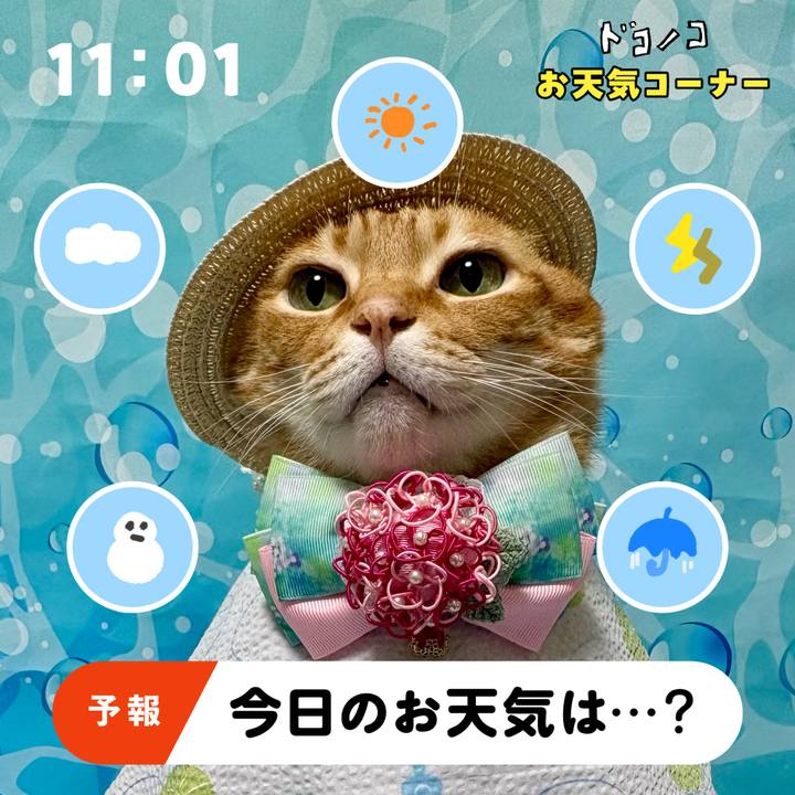 20545040 098a 496c 9e27 4dbded86b779 1781523415705