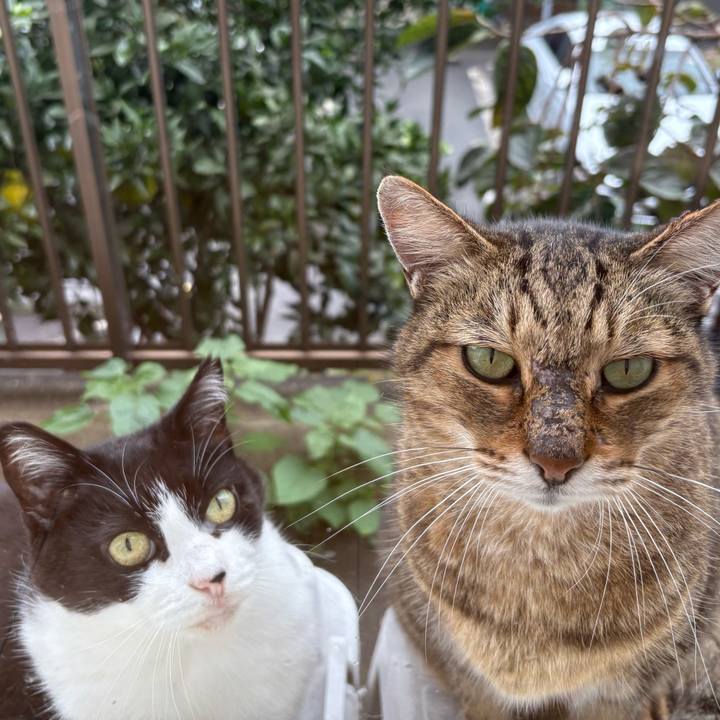 2054de36 f640 4559 83bb 2dd39e947904 1761451464160