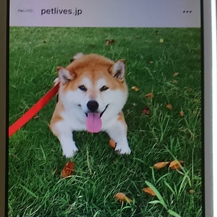 2054f979 9aab 4eff 814b b8cf5d66ac9d 1622435897351