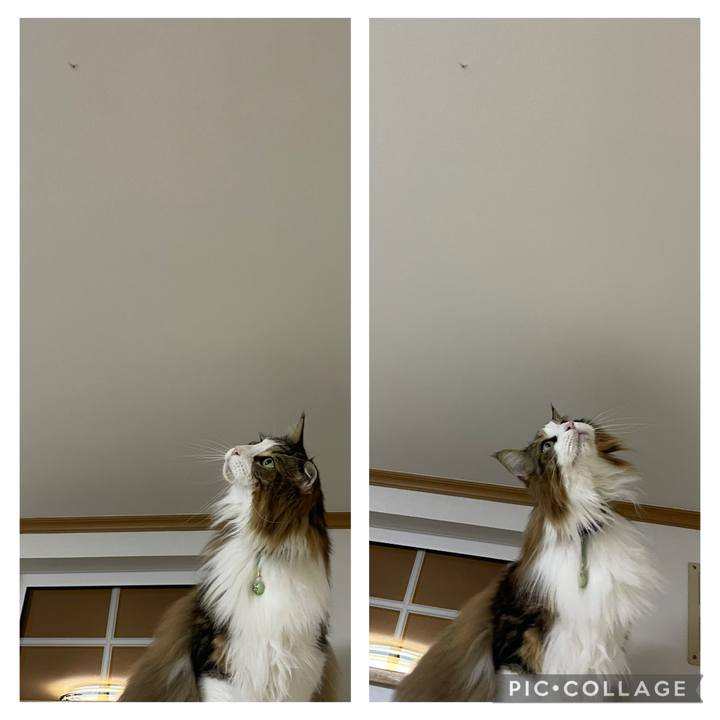 205510ce 0e0b 48c8 b9c0 165269910b4a 1747604520485