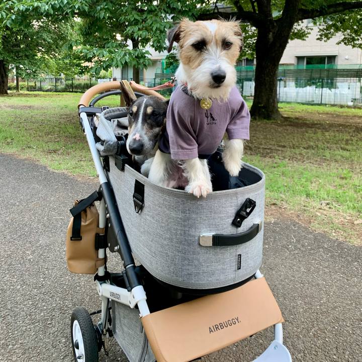 2055368b 6841 411d 9586 e851a05c5b6a 1622637966933