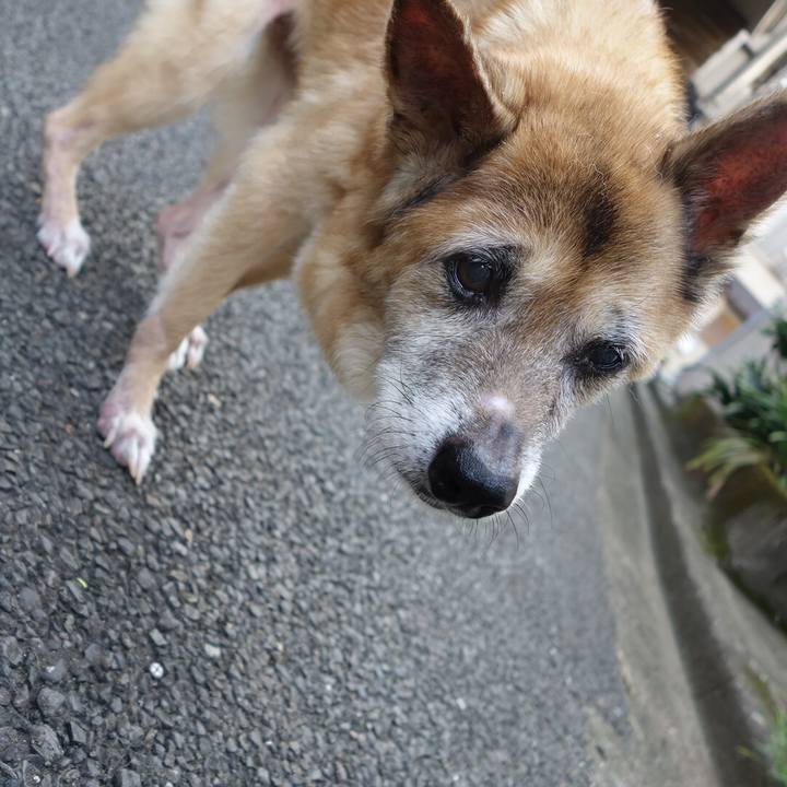 20555b2e d3c7 441d ac34 1096d44cafe4 1567465900059