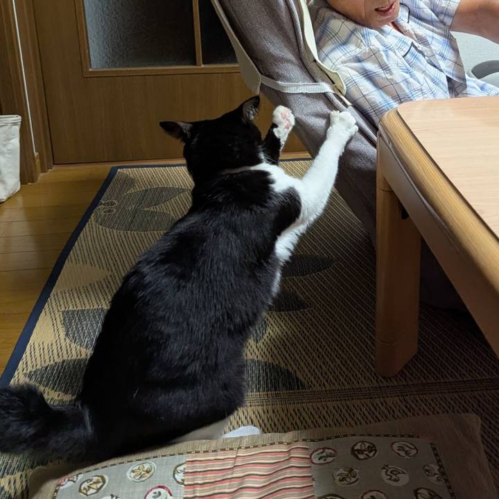 20557951 7ac9 44d0 a4f5 61a4d19d8e4f 1757835221974