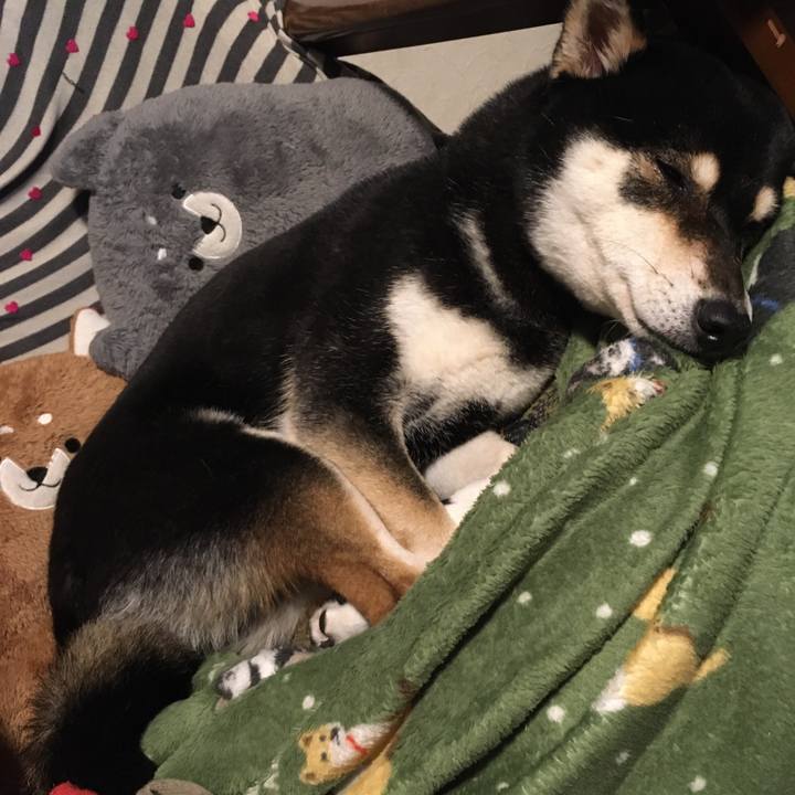 20558c39 01c0 486f 8079 176878a266d9 1612351967719