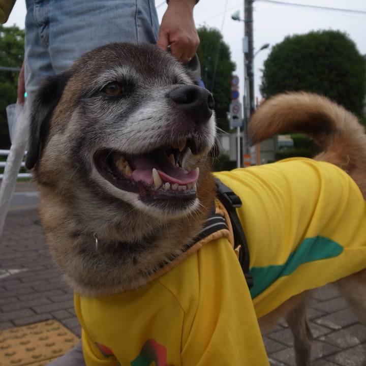 205590a2 74b5 4cba b70e fc20570c8b8a 1612568653200