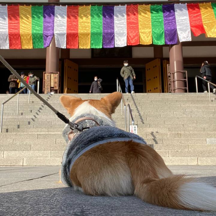 205594e5 8439 4fee b764 ad114f8871c5 1643011559858