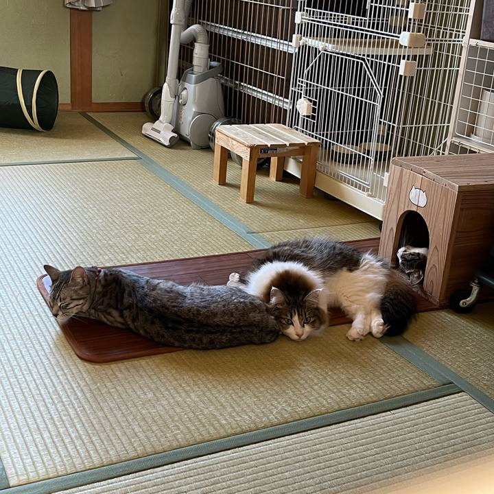 2055c648 f879 4e08 90e7 8c907c245a20 1739272784538