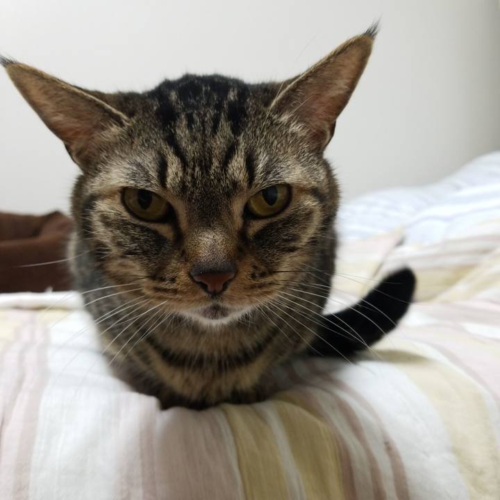 2055c7c7 c82a 49dd 93f2 6fb57690f435 1588022725173