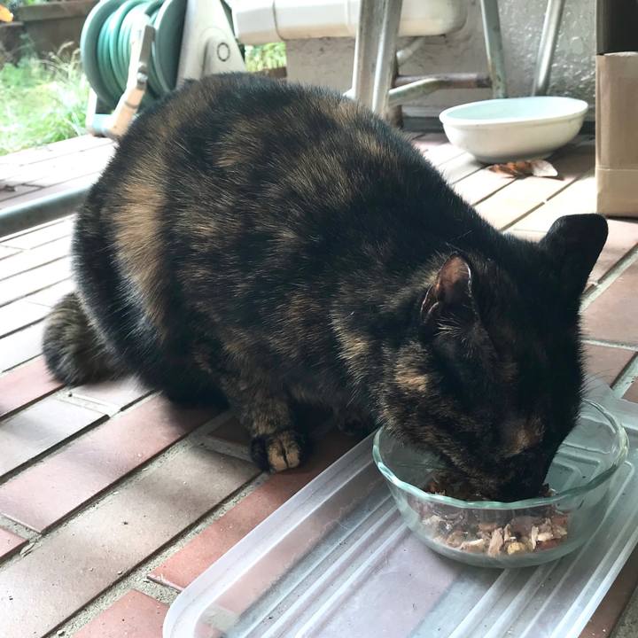 2055f2fc 172a 468d a5fa 395cfaa39794 1510541703162