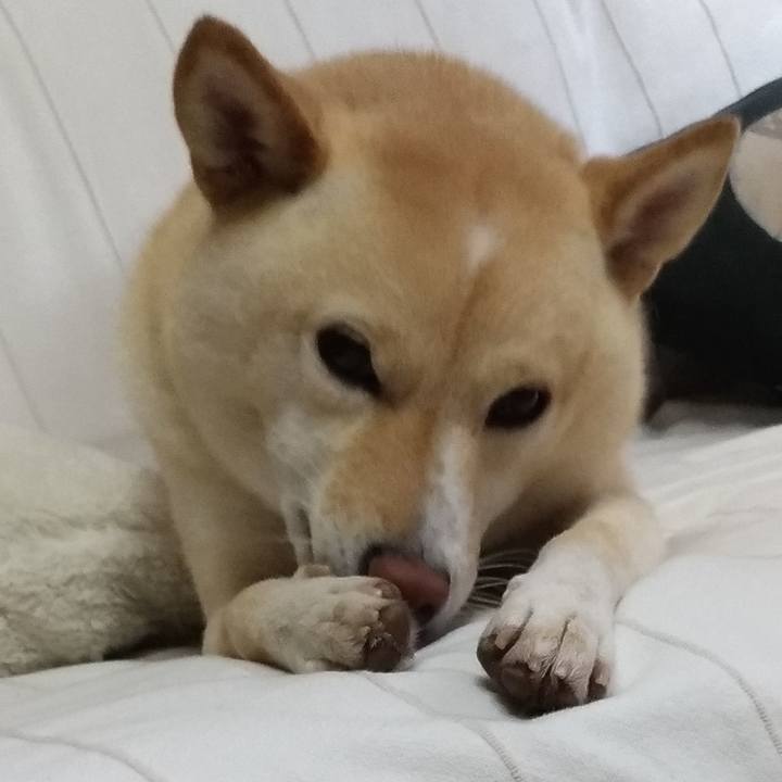 2055fe1a f739 4e15 b92a 1baf834998fb 1602635363334