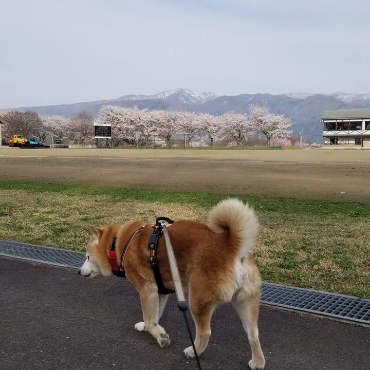 2055fe73 c9cd 4be0 8f81 bdd4ed75d769 1713165021342