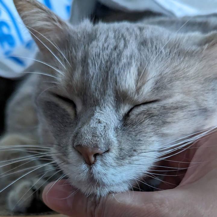 2055fed5 d727 4d13 857f 28865e952da0 1696304471203