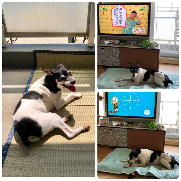 20560dd2 8113 4089 b806 874a7f665006 1566169200846