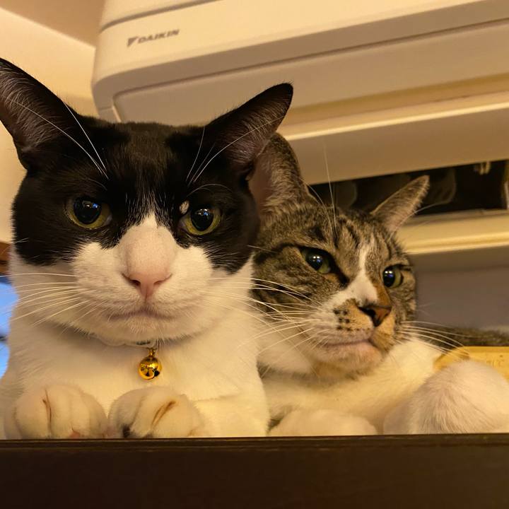 20564577 4cc9 4d96 bff0 00ea78659767 1766792012197