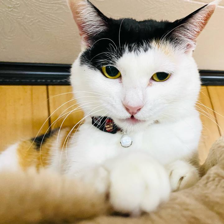 20566f47 e389 4106 af53 8a96c5d9ab22 1675259905888