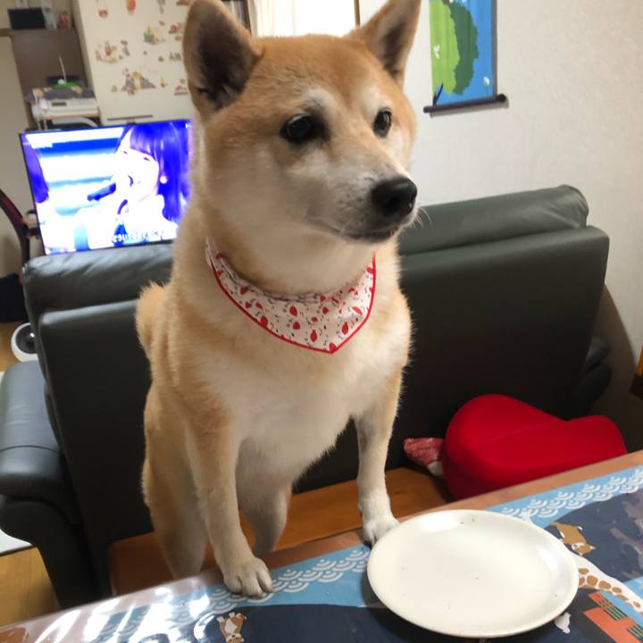 20567485 f0d8 4474 9102 dd6d3a9af881 1563606055315