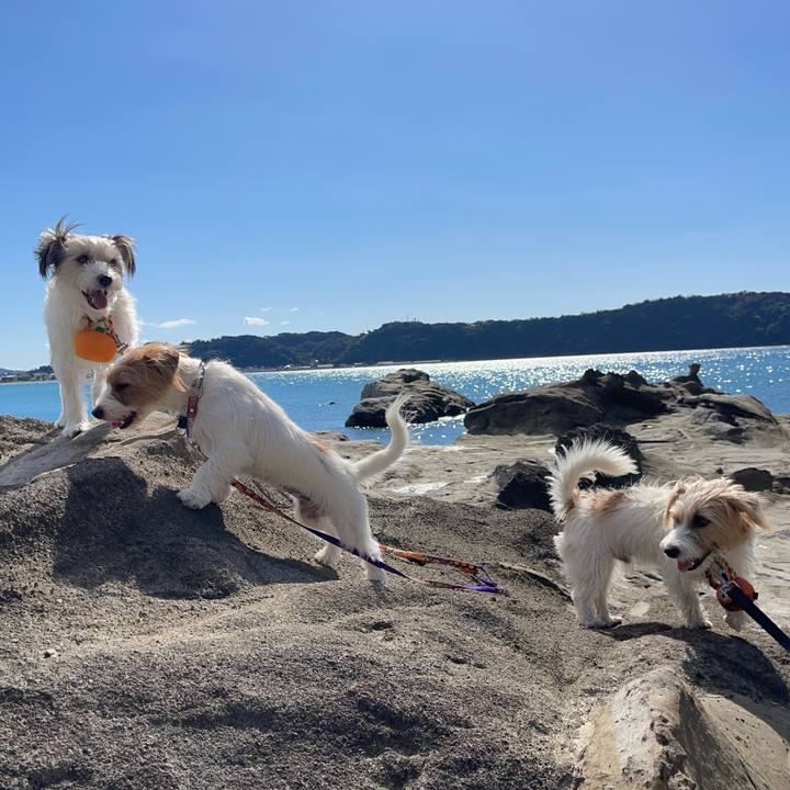 20569348 33c1 4460 aaf3 c63dd869266c 1760703219136