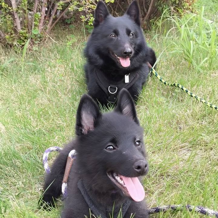 2056bb6e e021 4ff8 9915 327a32199fac 1751151489247