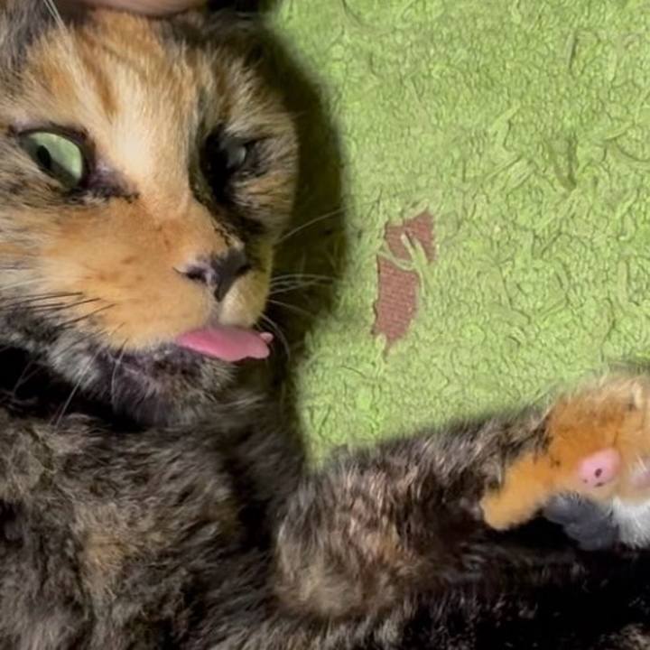 2056c723 aff5 41d6 a7f3 ef199b360a64 1756201245977