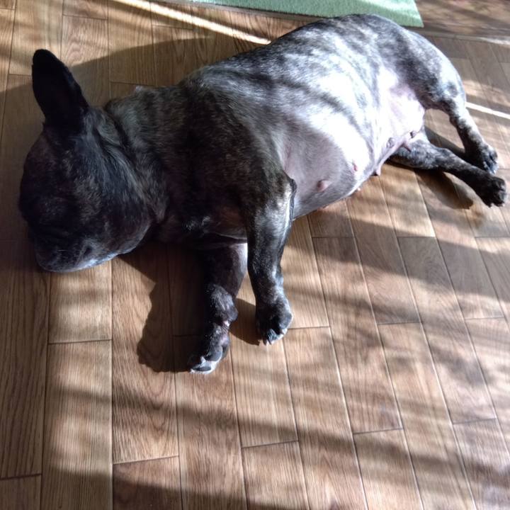 2056ec32 72ff 41b9 9d5a 7746ef8c4dab 1703901300565