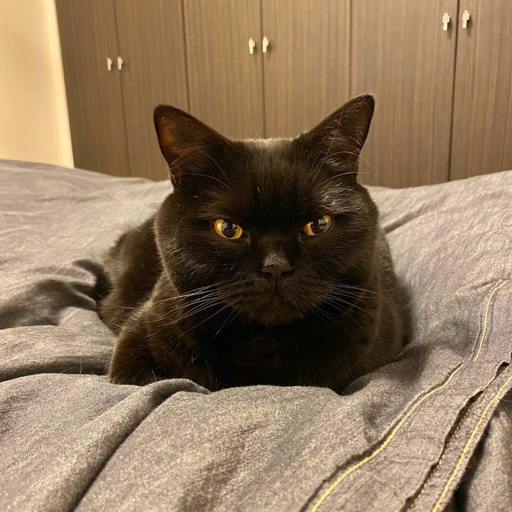 205705f0 dc1a 410d b8a3 6e3972806152 1675430558517