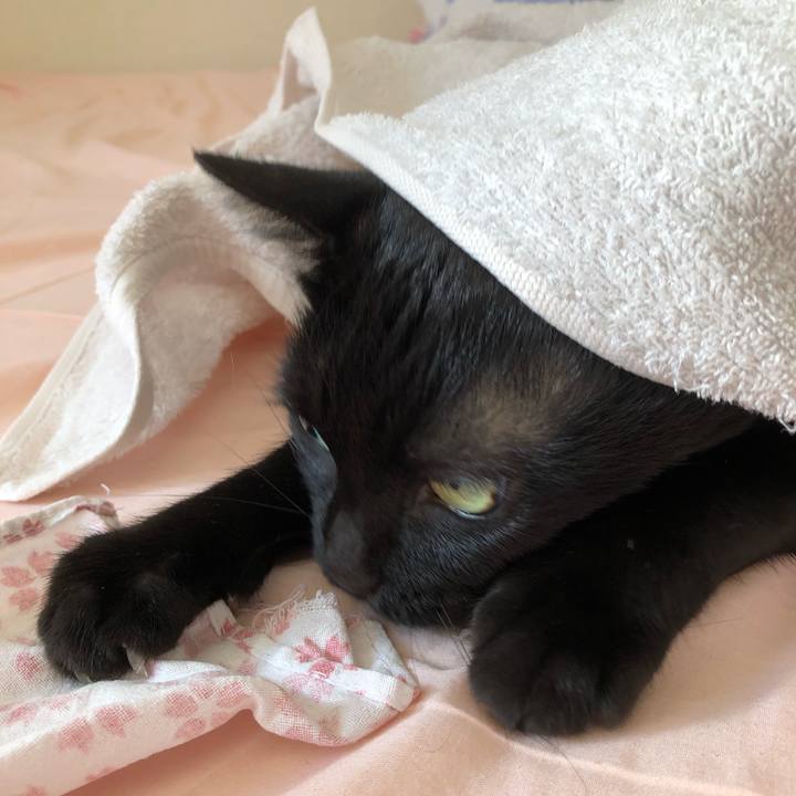 20571acf 3435 4872 922e cc2656fab323 1600260256469