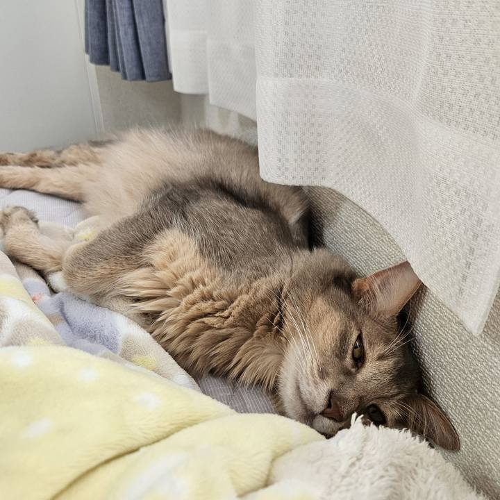 20576564 f865 4184 bd15 042e791cc1d2 1722481668619