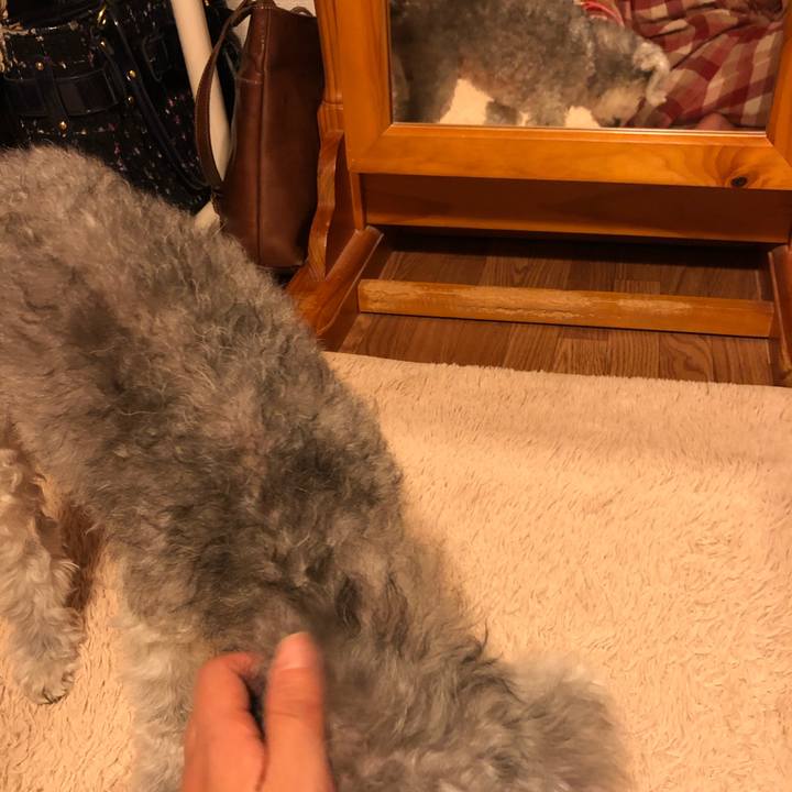 20576c85 b0fe 4736 a281 b42de6628919 1606779602575