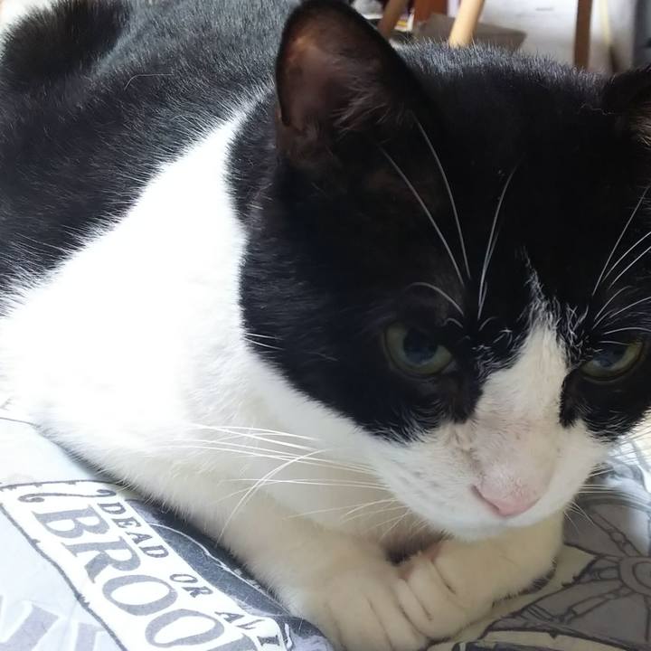 2057cd01 90ff 49f3 a056 8fc2dc8fb84b 1567461499698