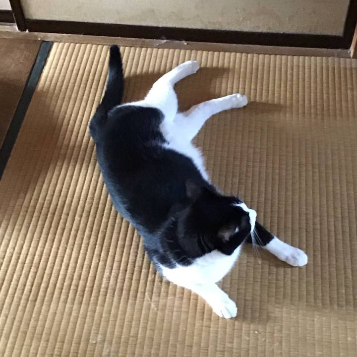 2057e1ef 9c66 49f0 8135 74750337a346 1756105022313