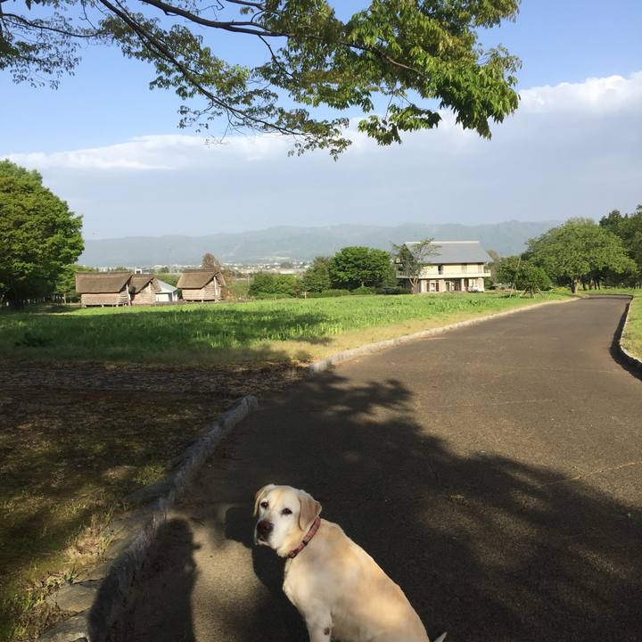 20580ea5 16d4 4cc8 a315 f302d6eaecb0 1597134960303