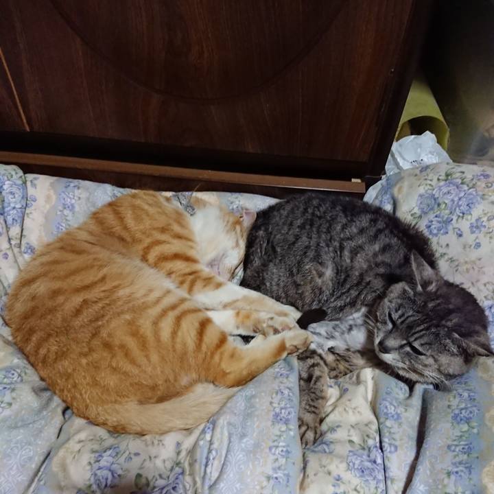 20583d1a cd28 4e19 b687 92d56d6bb3e8 1590494862256