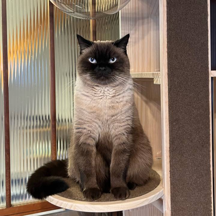 2058c108 d084 42a4 80ae c73e8a883c4c 1701171568674