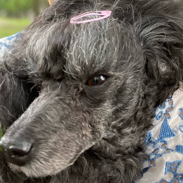 2058d339 f404 4dd5 be71 52840d638156 1691301498755