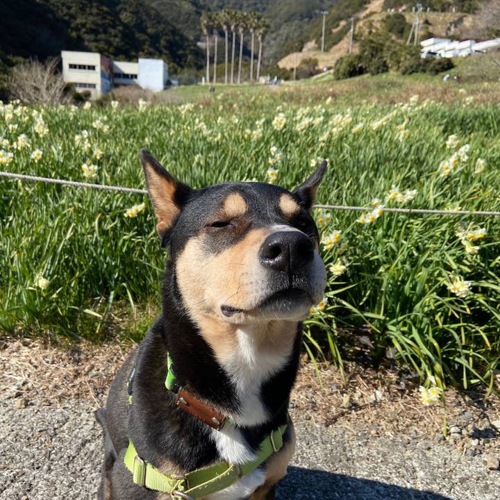 2058de0d 5551 44ef b444 b8abeb22da53 1644753378381