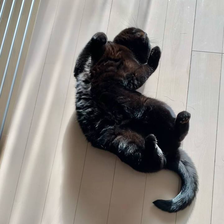 20591d89 f516 4d99 8e87 9b2a522b6f1a 1678776860577