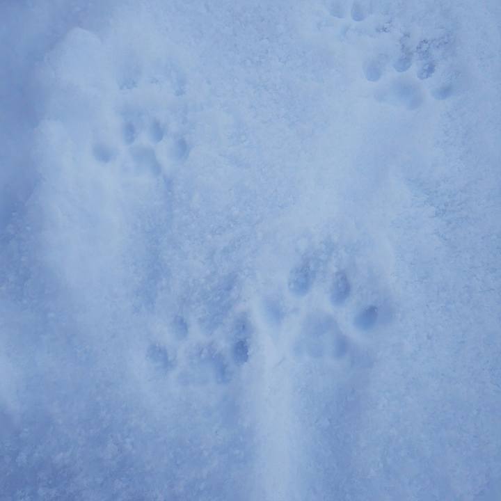 205921cb 165c 4251 8476 84acdb6431b4 1577583801684