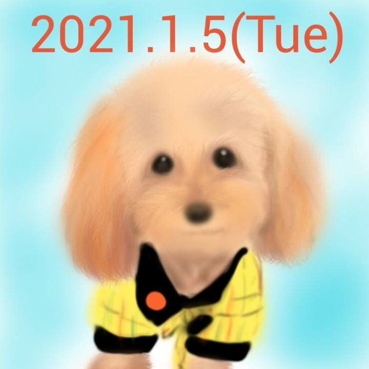 20592785 381d 47e0 8d8f 228ced65302e 1609848274992