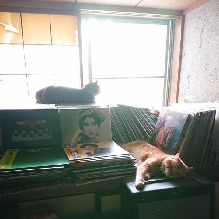 20593cdc 4a0b 4beb b51c 9a209843fbda 1656832987066